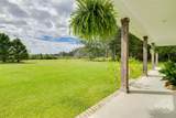 3790 Old Dixie - Photo 8