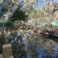79 Terry Drive - Photo 25