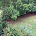 186 Sterling Woods Drive - Photo 58