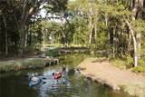 135 Wildlife View Court - Photo 147