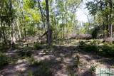 Lot 21 The River Landing Road - Photo 21