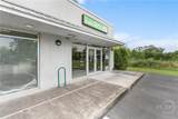 10520 Abercorn Street - Photo 4