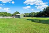 23287 144 Highway - Photo 31