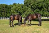23287 144 Highway - Photo 42