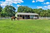 23287 144 Highway - Photo 5