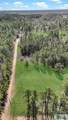 6518 Buchan Road - Photo 19