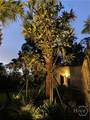 400 Johnston Street - Photo 33