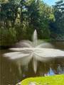 109 Wild Heron Villas Crossing - Photo 50