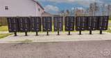 19 Sago Palm Way - Photo 7