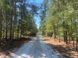 407 Blackberry Court - Photo 58