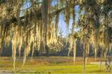 4 William's Retreat - Photo 4