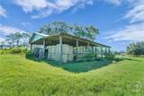 3772 Us Highway 301 - Photo 50