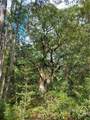 199 Burton Road - Photo 39