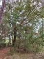 193 Burton Road - Photo 39