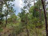 193 Burton Road - Photo 53