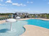 172 Coneflower Road - Photo 36