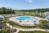 172 Coneflower Road - Photo 37