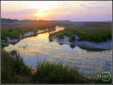 LOT 239 Coopers Landing Drive - Photo 11