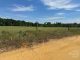 2905 Donald Cobb Road - Photo 3