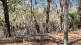 265 Big Cypress Drive - Photo 3
