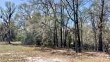 265 Big Cypress Drive - Photo 4
