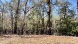 265 Big Cypress Drive - Photo 5