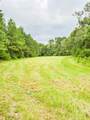 702 Griffin Lake Road - Photo 24