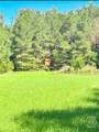702 Griffin Lake Road - Photo 27