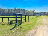 702 Griffin Lake Road - Photo 5