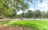 933 Young Way - Photo 38