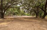 1610 Ribaut - Photo 14