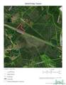 0 I-16 Highway - Photo 3