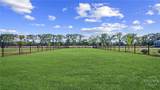 317 Royal Fern Lane - Photo 78