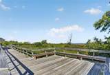 1217 Bay Street - Photo 41