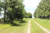2441 Bovine Road - Photo 28