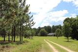 2441 Bovine Road - Photo 29