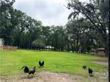 1705 Retreat Road - Photo 30