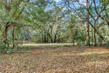 193 Burton Road - Photo 20