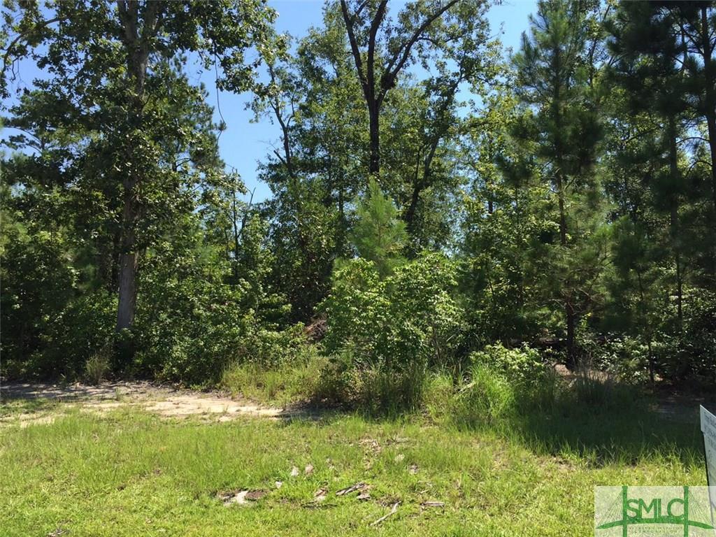 6 Rock Dove Lane - Photo 1