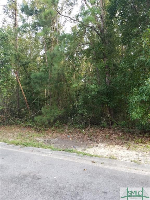 LOT 17 Flora Ellen Street - Photo 1