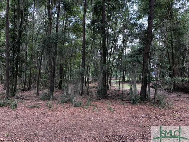 0 Hwy 84 Highway - Photo 1