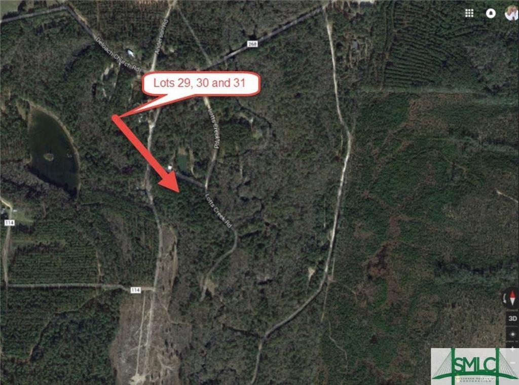 Lots 29, 30 & 31 Lotts Creek Lane - Photo 1