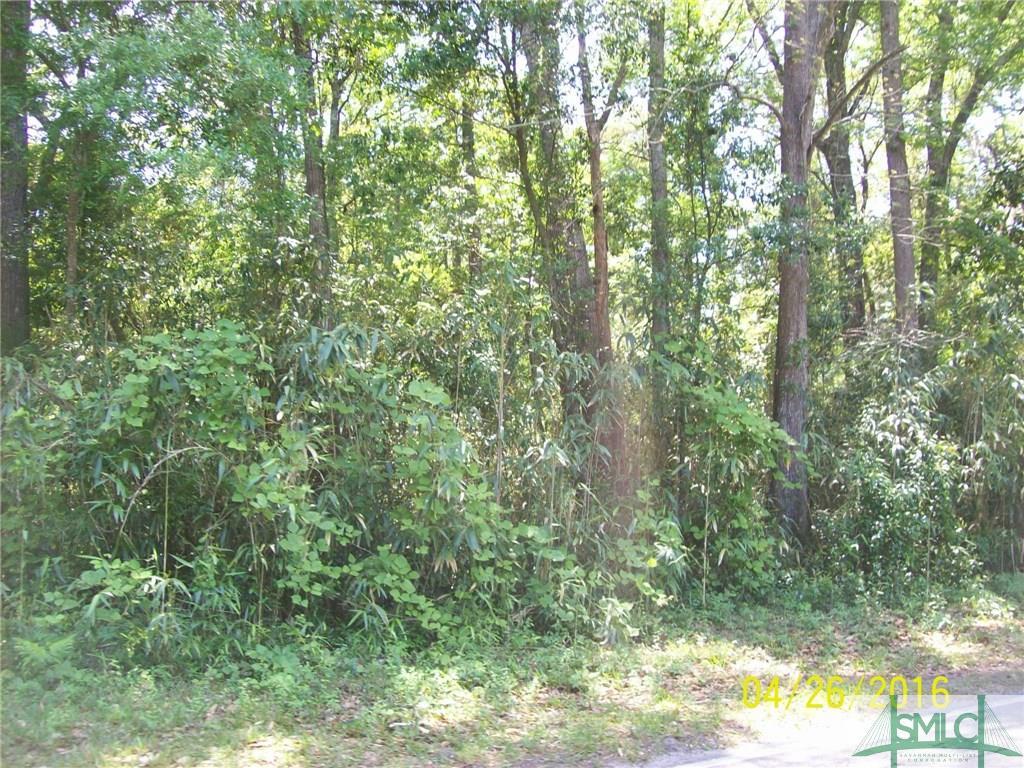 0 Whitefield Avenue - Photo 1