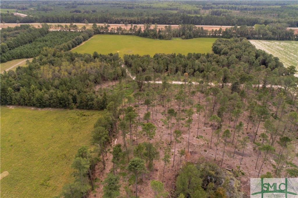 Lot 3 Highway 46 - Photo 1