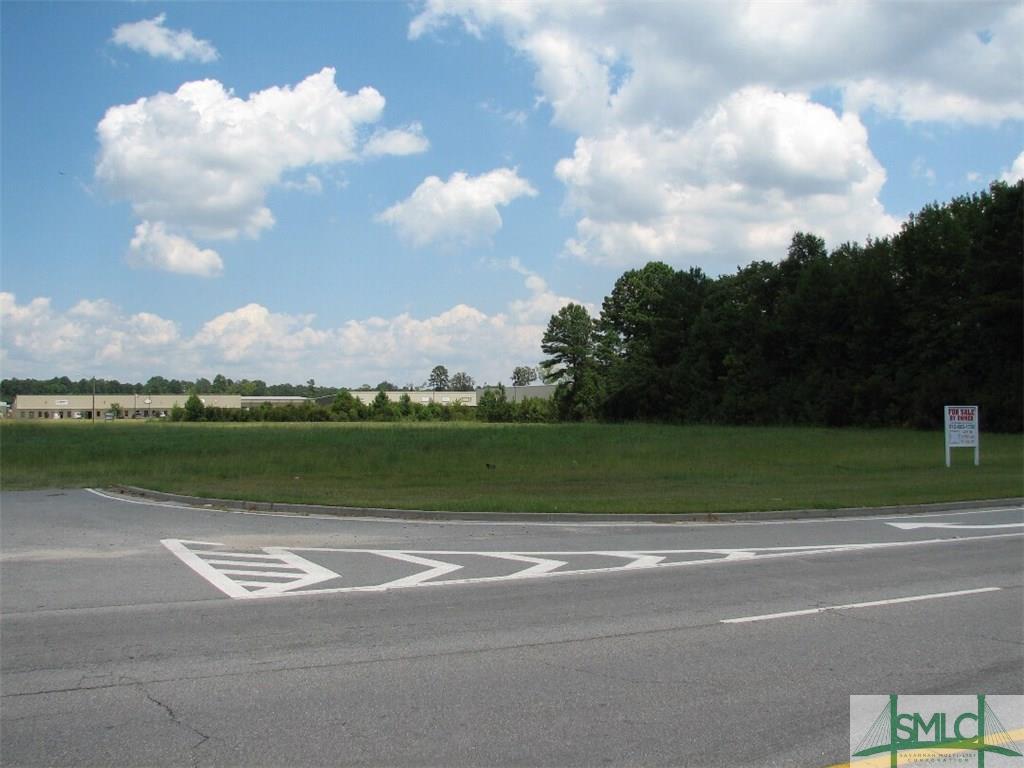 1224 Us Highway 80 Highway - Photo 1