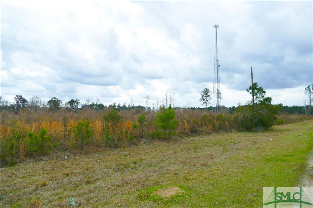 0 Griffin Lake Road - Photo 1