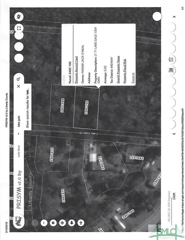 0 Lake Gale Drive - Photo 1