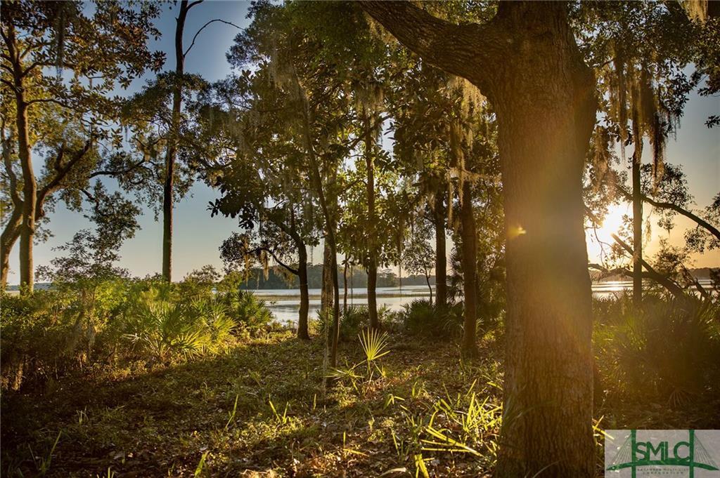 6 Spring Marsh Circle - Photo 1