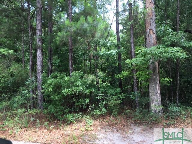 0 Old Field Drive - Photo 1