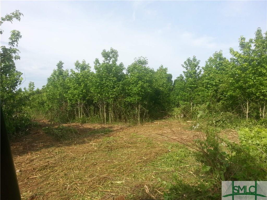 0 Brogdon Road - Photo 1